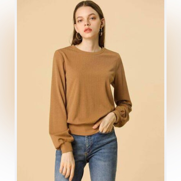 Allegra K Sweaters - FLASH SALE Allegra K Lantern Sleeve Winter Retro Ribbed Pullover Sweater Small